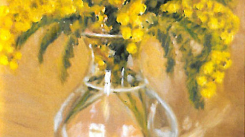 Nature morte e interni 8