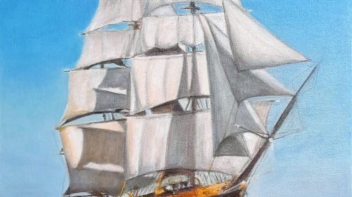 Amerigo Vespucci olio su tela 50x 70 2023