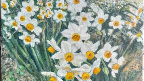 Narcisi